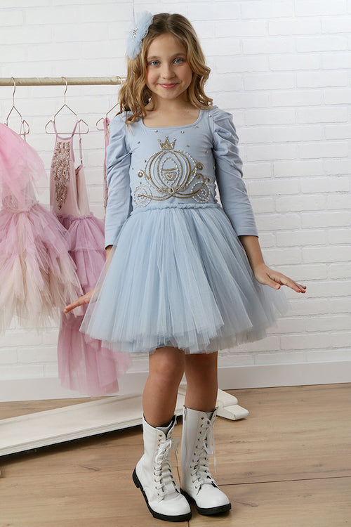 Princess Tutu Dress
